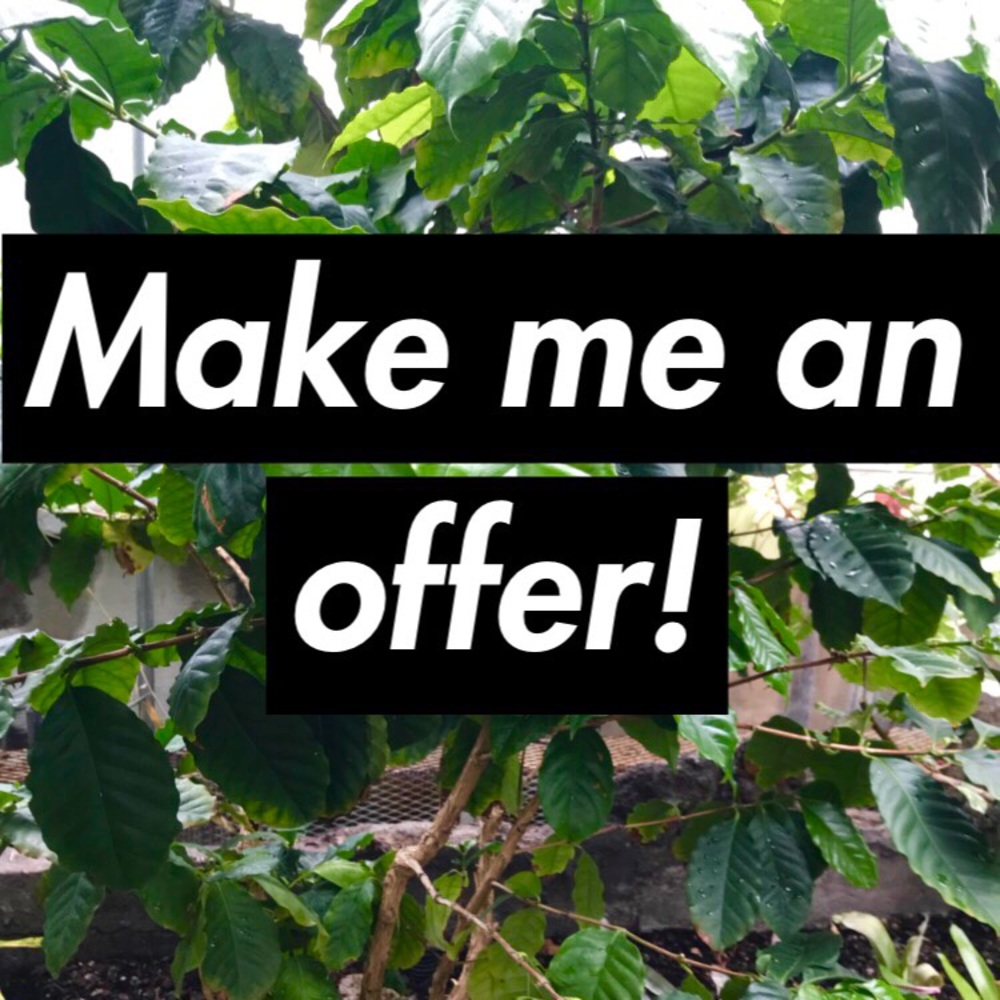 Offers welcome! Bundle for deeper discounts!